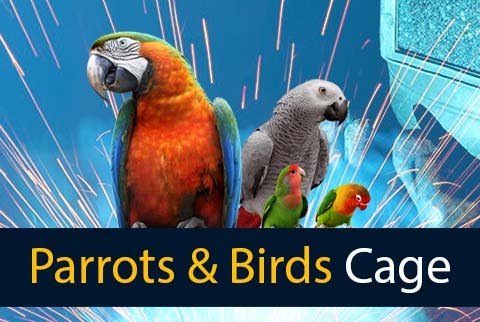 parrot and bird cage faraji
